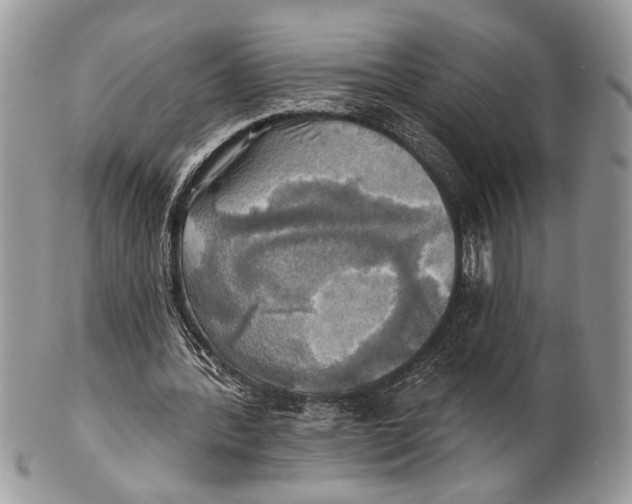 X0000101160388200807251115