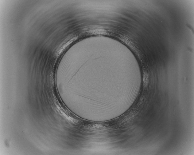 X0000101160390200807251115