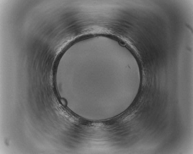 X0000101160391200807251115