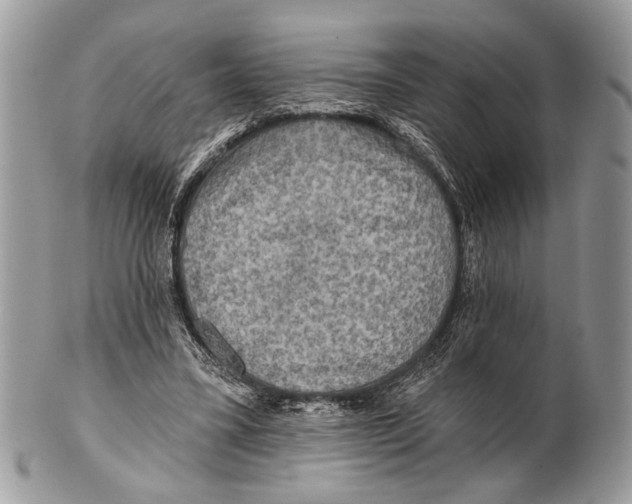 X0000101160395200807251115