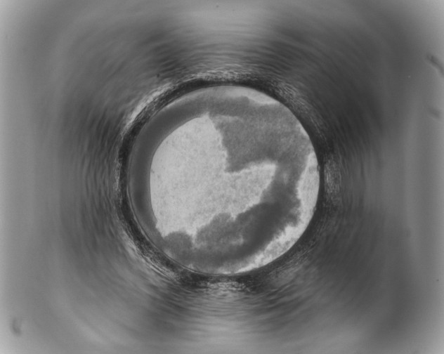 X0000101160396200807251115
