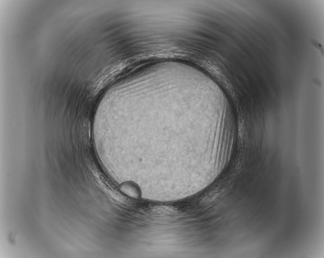 X0000101160397200807251115