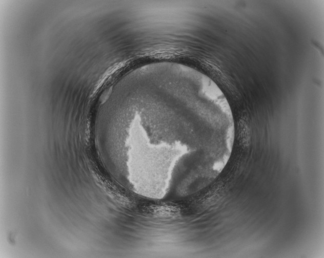 X0000101160400200807251115