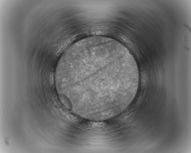 X0000101160401200807251115