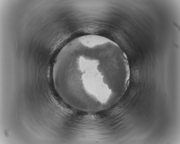 X0000101160404200807251115