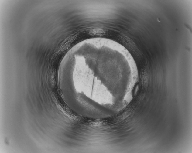 X0000101160408200807251115