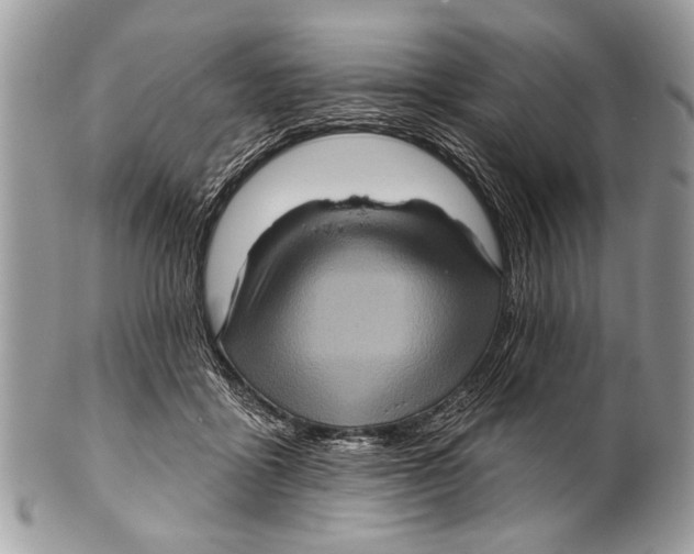 X0000101160411200807251115