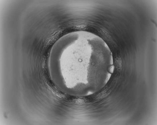 X0000101160412200807251115