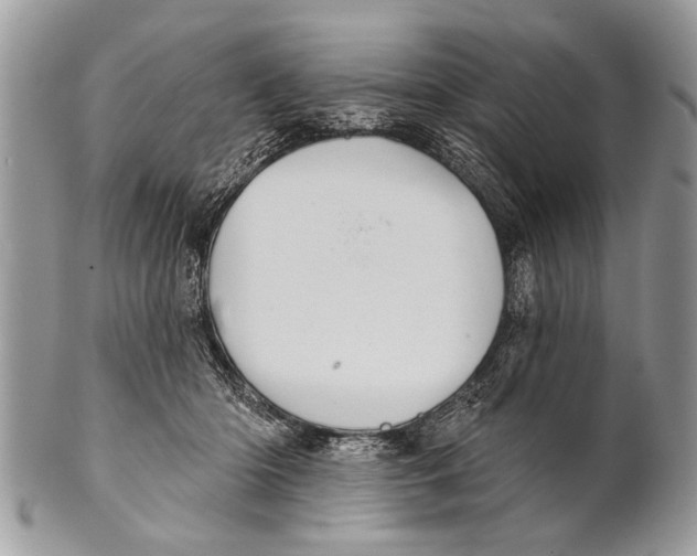 X0000101160414200807251115