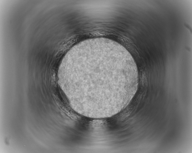 X0000101160418200807251115