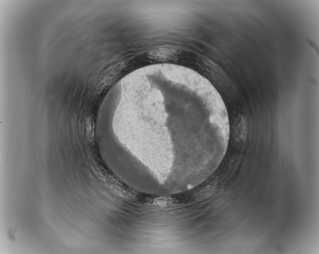 X0000101160420200807251115