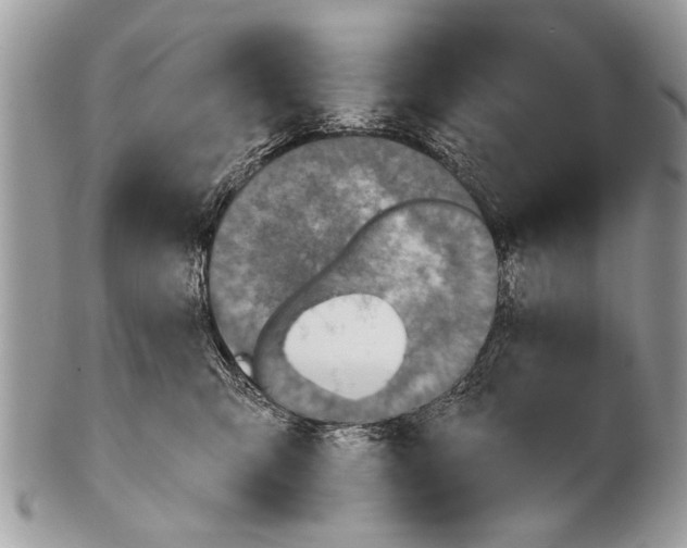X0000101160423200807251115