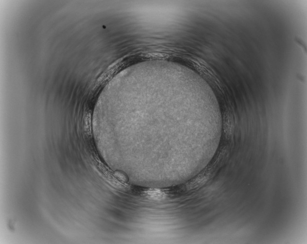 X0000101160425200807251115