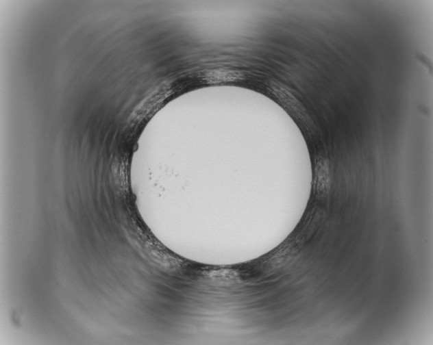 X0000101160426200807251115