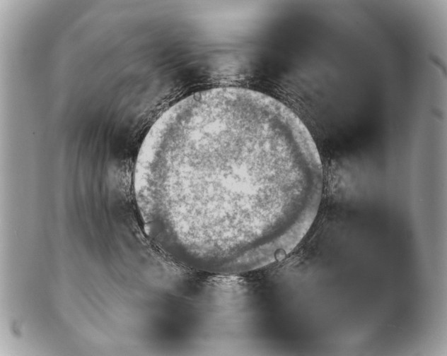 X0000101160427200807251115