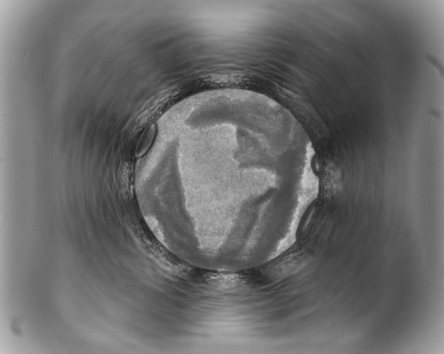X0000101160428200807251115