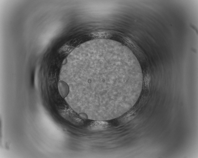 X0000101160429200807251115