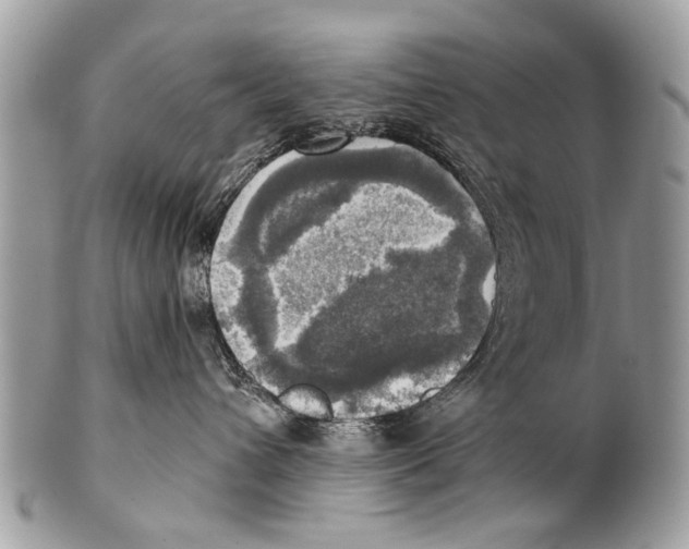 X0000101160432200807251115