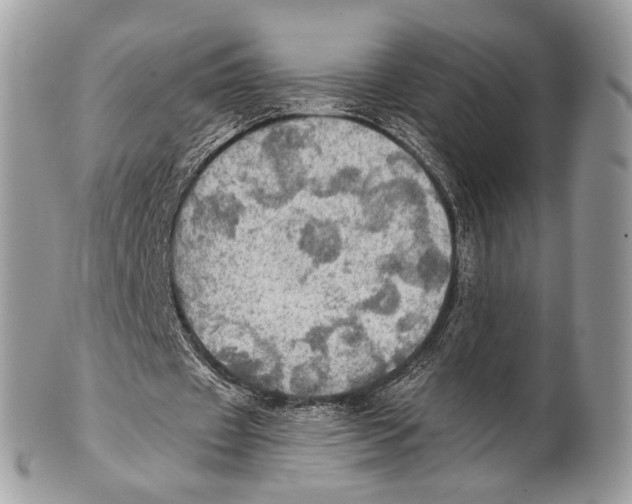 X0000101160433200807251114