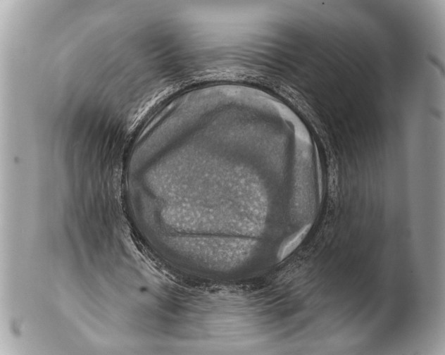 X0000101160434200807251114