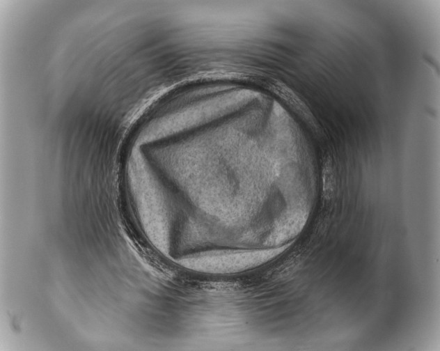 X0000101160436200807251114