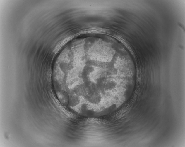 X0000101160437200807251114