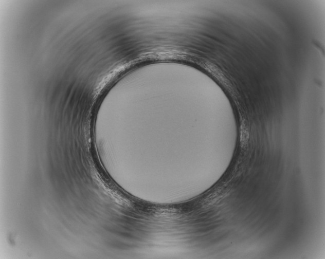 X0000101160438200807251114