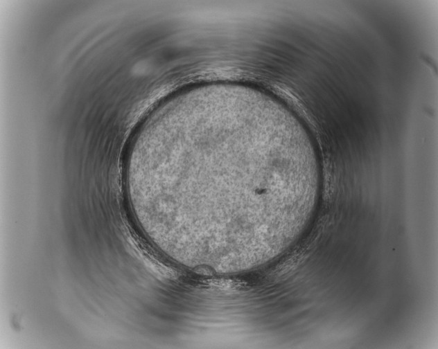 X0000101160439200807251114