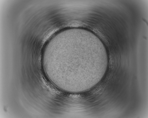 X0000101160440200807251114