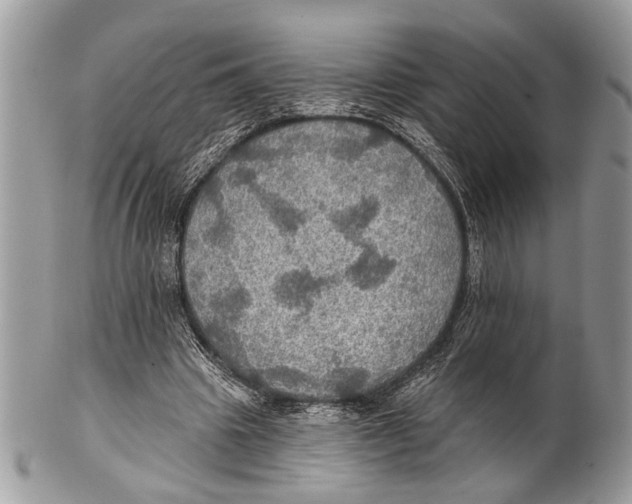 X0000101160441200807251114
