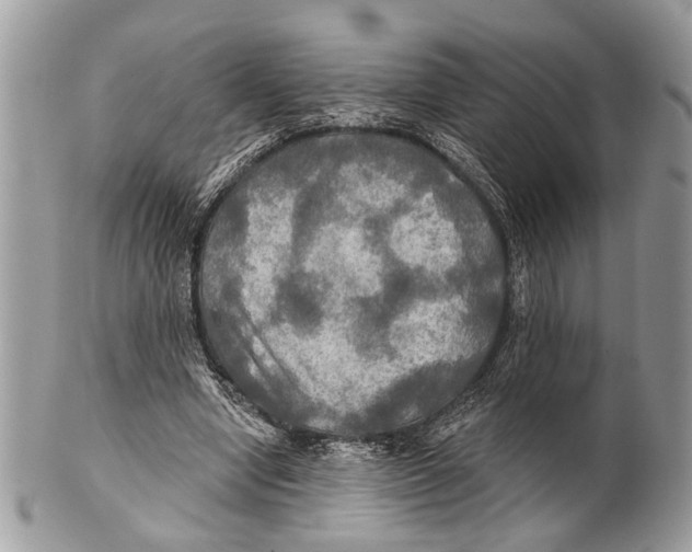 X0000101160442200807251114