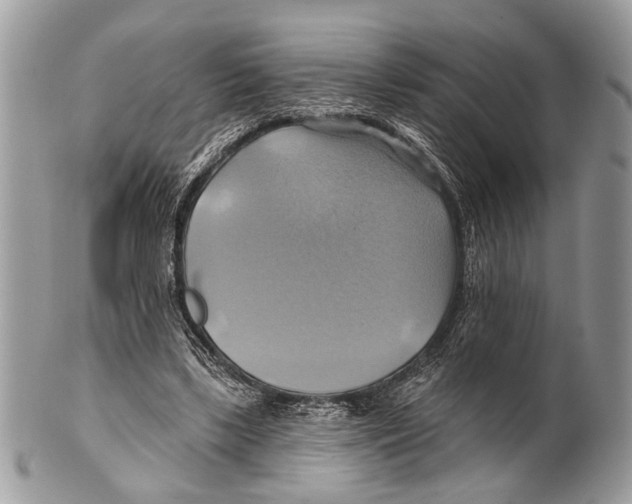 X0000101160443200807251114