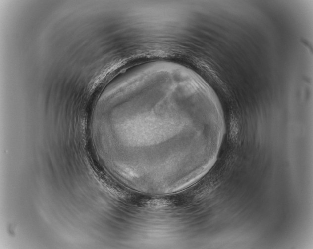 X0000101160444200807251114