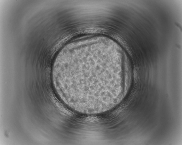X0000101160445200807251114