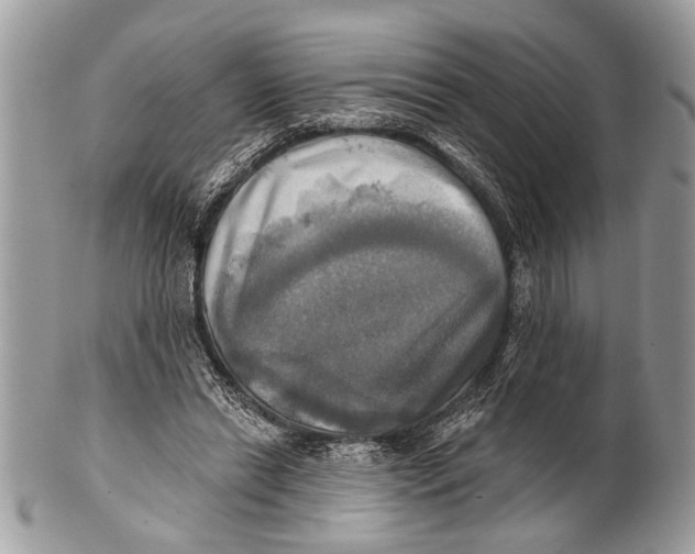X0000101160446200807251114