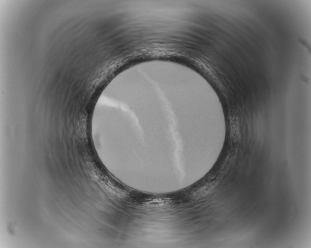 X0000101160447200807251114