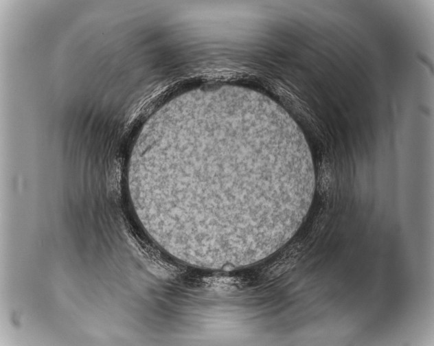 X0000101160448200807251114