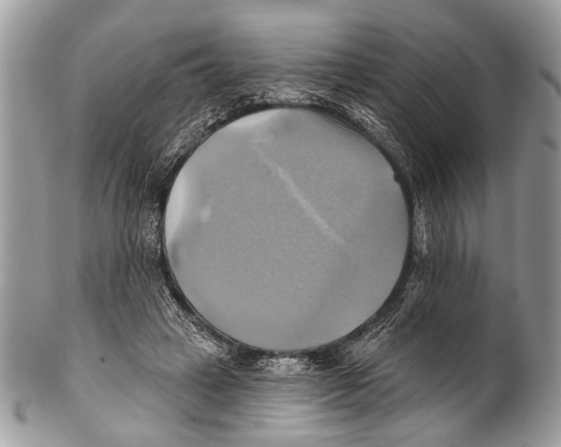 X0000101160449200807251114