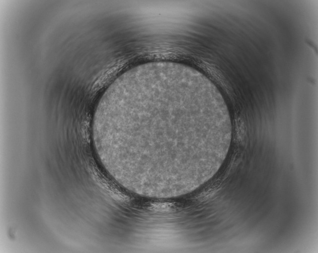 X0000101160450200807251114
