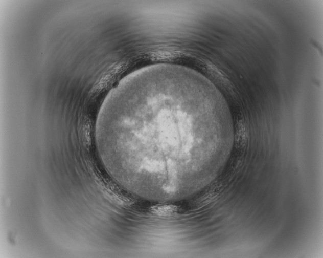 X0000101160452200807251114