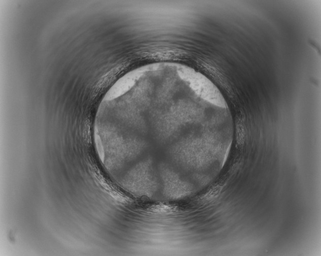 X0000101160453200807251114