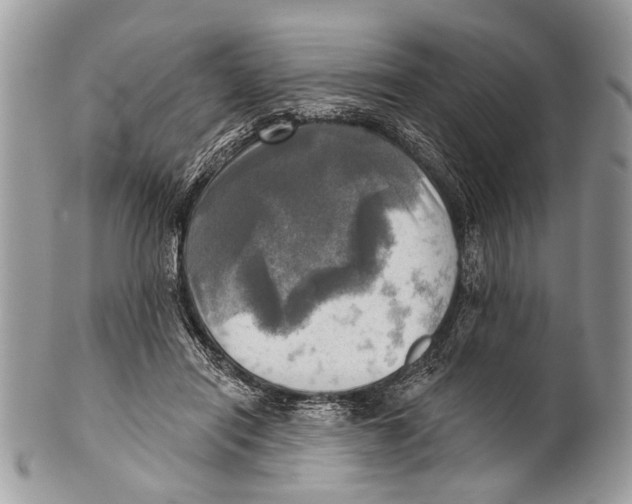 X0000101160454200807251114