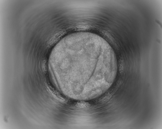 X0000101160455200807251114
