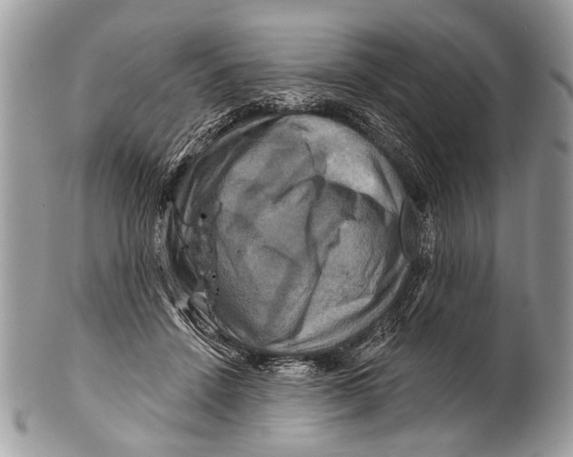 X0000101160456200807251114