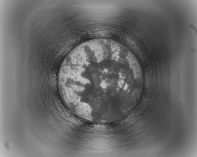 X0000101160457200807251114