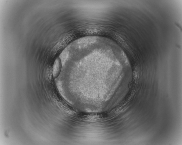 X0000101160458200807251114