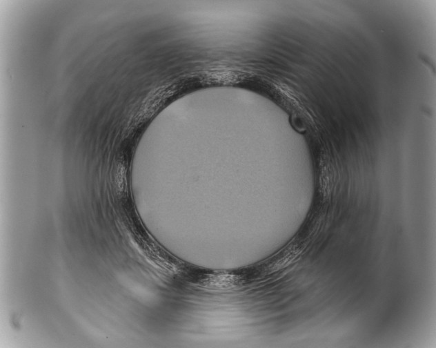 X0000101160459200807251114