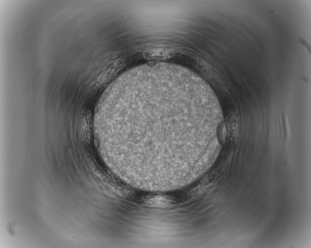 X0000101160460200807251114