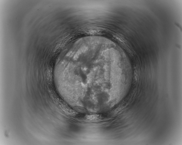 X0000101160461200807251114