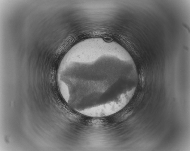 X0000101160462200807251114